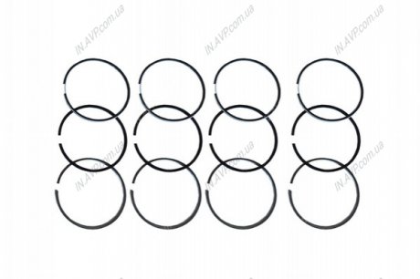 Кільця поршневі (к-кт) 1.5dCi Kangoo/Clio 01-/Logan 07-/Megane 03- (76mm/STD) ASAM 30639