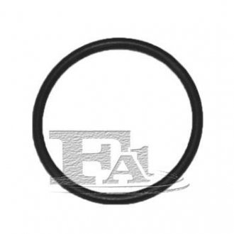 Уплотнительное кільце/FPM 21,20 x 24,20 x 1,50 black Fischer Automotive 076.408.005 (фото 1)