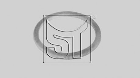 Уплотняющее кольцо, ступица колеса ST-TEMPLIN ST-Templin Automotive 14.060.1592.040