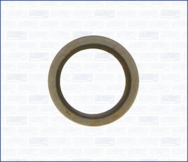 Уплотнительное кольцо маслосливного отверстия AJUSA.00502300 (фото 1)