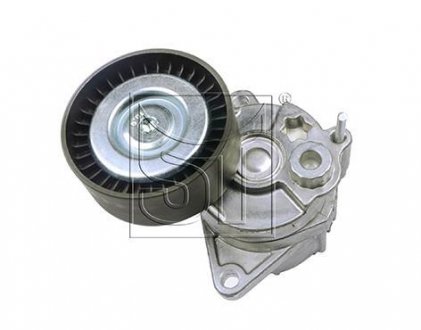 Натяжитель ремня, клиновой зубча ST-TEMPLIN ST-Templin Automotive 08.050.8320.090