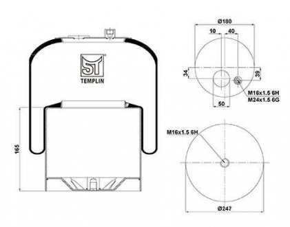 Подушка амортизуюча 4185 N P21 (зі стаканом) ST-Templin ST-Templin Automotive 04.060.6206.240