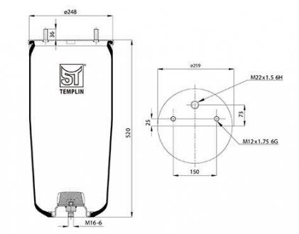 Кожух пневматической рессоры ST-TEMPLIN ST-Templin Automotive 04.060.6006.560