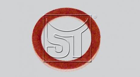 Уплотнительное кольцо ST-TEMPLIN ST-Templin Automotive 02.210.7139.850