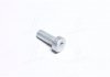 ГВИНТ SH cap screw BOSCH 2912738197 (фото 1)