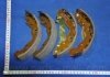 Колодка торм. барабан. HYUNDAI ACCENT PARTS-MALL PLA-011 (фото 3)