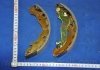 Колодка торм. барабан. HYUNDAI ACCENT PARTS-MALL PLA-011 (фото 1)