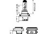 Лампа накаливания H11 WhiteVision 12V 55W PGJ19-2 (+60) (4300K) 1шт. blister Philips 12362WHVB1 (фото 1)