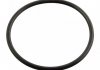 Уплотнительное кольцо для термостата (FEBI) 11443