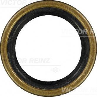 Уплотнительное кольцо VICTOR REINZ 81-18486-40 (фото 1)