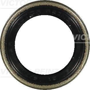 Уплотнительное кольцо VICTOR REINZ 81-24010-00