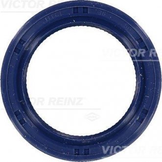 Уплотнительное кольцо VICTOR REINZ 81-53251-00 (фото 1)