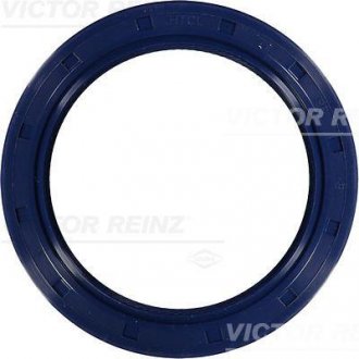 Уплотнительное кольцо VICTOR REINZ 81-53306-00 (фото 1)