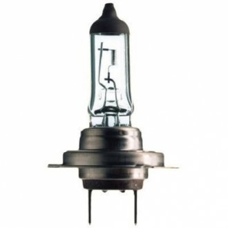 Лампа автомобильная Philips 40607130