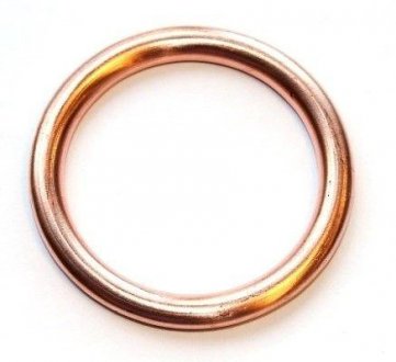 Уплотнительное кольцо ELRING 813.192 (фото 1)