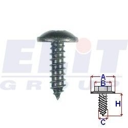 Винт салона ELIT R 45195