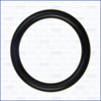 Резиновое кольцо AJUSA 16091100