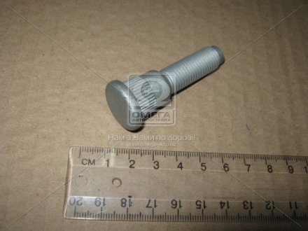 Болт Rexton SsangYong 4142308000