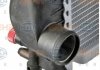 Радиатор охлаждения двигателя Behr-Hella 8MK376711-171 (фото 1)