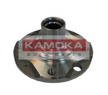 Комплект подшипника ступицы колеса KAMOKA 5500106 (фото 1)