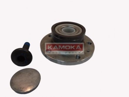 Комплект подшипника ступицы колеса KAMOKA 5500128 (фото 1)