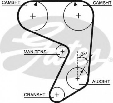 Ремінь ГРМ Gates Gates Corporation 5081