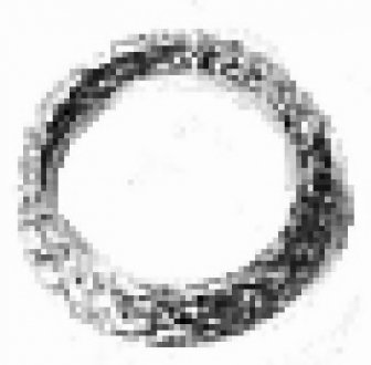 Уплотнительное кольцо, труба выхлопного газа Metalcaucho 02393 (фото 1)