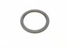 Уплотняющее кольцо, коленчатый вал CORTECO 20036307B (фото 4)