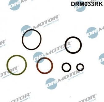 Ремкомплект форсунки Dr. Motor Automotive DRM033RK (фото 1)