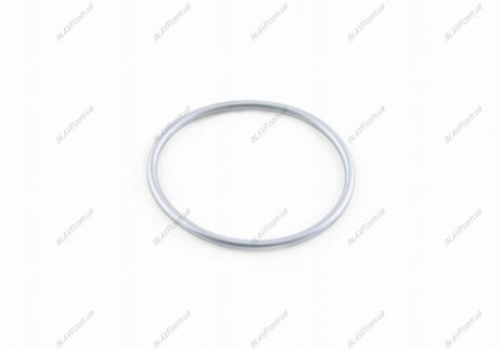 Уплотнительное кольцо VAG N91019101