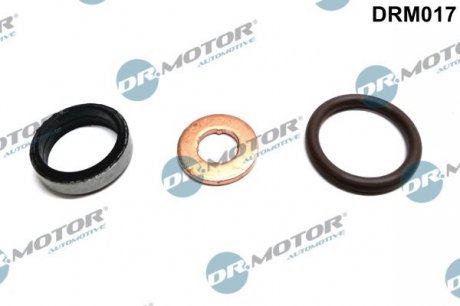 Ремкомплект форсунки Dr. Motor Automotive DRM017 (фото 1)
