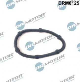 Прокладка колектора Dr. Motor Automotive DRM0125 (фото 1)