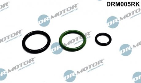 Комплект прокладок Dr. Motor Automotive DRM005RK (фото 1)