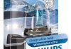 Лампа накаливания H4 12V 60/55W WhiteVision ULTRA +60 (4200K) (1шт) Philips 12342WVUB1 (фото 3)
