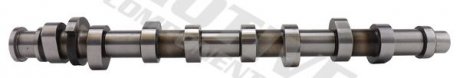 Распределительный вал AUDI A3, SKODA OCTAVIA I, VW GOLF IV 1.6 08.00-12.10 MOTIVE MOTIVE COMPONENTS T2184