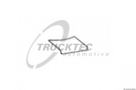 Прокладка, задняя дверь багажника / помещения для груза TRUCKTEC Automotive GmbH 02.53.060 (фото 1)