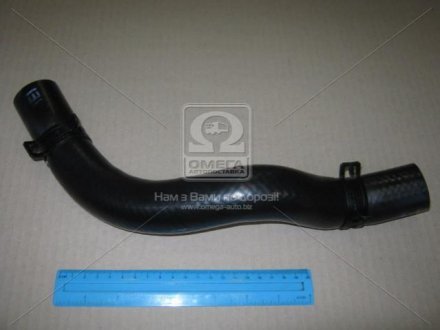 Патрубок радиатора нижний Hyundai H-1 01-/Libero 00- MOBIS 254104A150