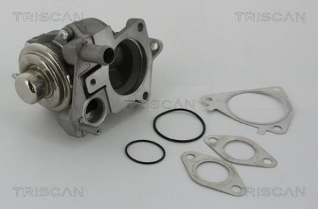 Клапан AGR Citroen Jumper/Fiat Ducato 3.0HDI 06- TRISCAN 881328019 (фото 1)