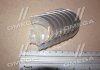 Вкладыши шатунные Mazda PN (япония) NDC CB-2013A.025 (фото 2)