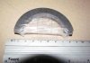 Полукольца упорные Honda EV/EW Taiho T451A1.0125 (фото 2)