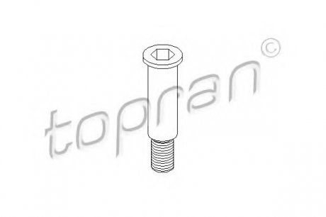 Коренная шейка, рычаг натяжного ролика TOPRAN 400 004 (фото 1)