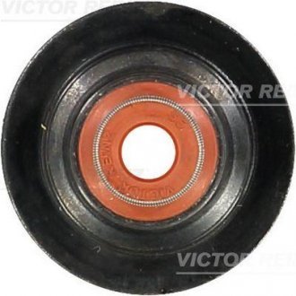 Уплотнительное кольцо, стержень кла REINZ VICTOR REINZ 70-33447-00