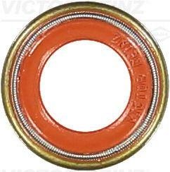 Уплотнительное кольцо, стержень кла REINZ VICTOR REINZ 70-36004-10