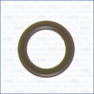 Уплотнительное кільце, стержень кла AJUSA 16004200 (фото 1)