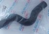 Шланг гумовий системи охолодження Верх OPEL VECTRA A, VECTRA B 1.4-2.0 04.88-08.96 THERMOTEC DWX176TT (фото 4)