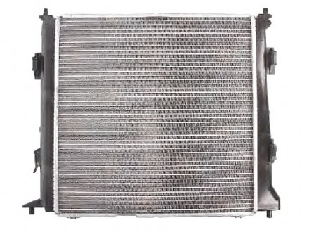 Радиатор, охлаждение двигателя THERMOTEC D70302TT (фото 1)
