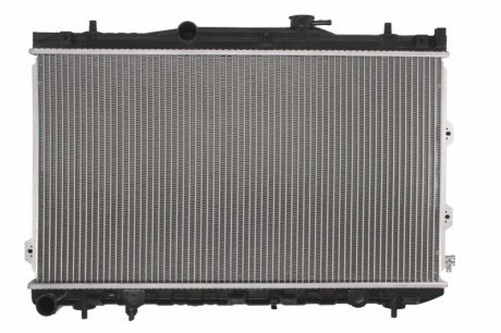 Основной радіатор (двигателя) THERMOTEC D70313TT (фото 1)