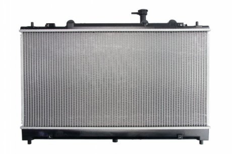 Основной радіатор (двигателя) THERMOTEC D73019TT (фото 1)