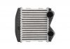 Радиатор охлаждения воздуха THERMOTEC DAM012TT (фото 1)