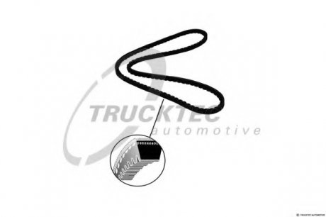 Клиновой ремень TRUCKTEC Automotive GmbH 0119184 (фото 1)